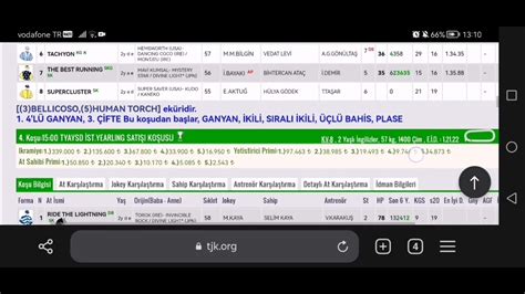 Ekim Ar Amba Stanbul Alt L Ganyan Tahminleri Stanbul At