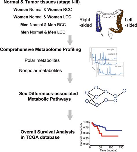 Schematic Illustration Of The Metabolomics Driven Analysis Strategy For