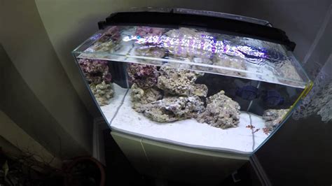 Akwarium Morskie OW Marine Tank YouTube