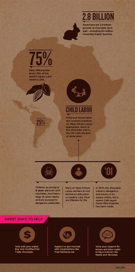 Fair Trade Chocolate All Day Fair Trade Chocolate Infographic