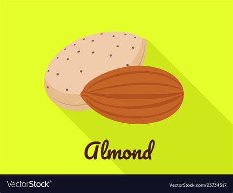 Almond Icon Flat Style Royalty Free Vector Image