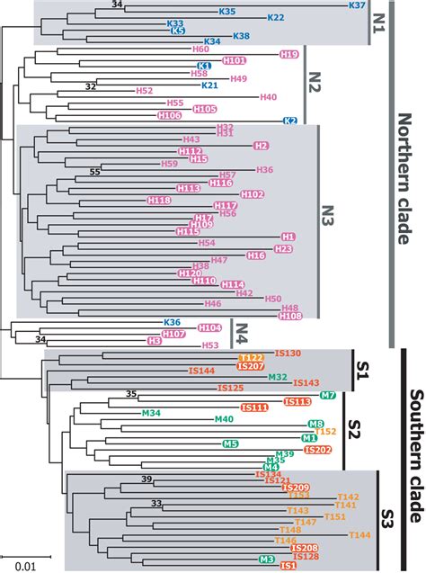 Molecular phylogenic tree of P. polytes from the five islands. The... | Download Scientific Diagram