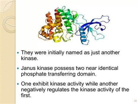 Enzyme Linked Receptors Ppt