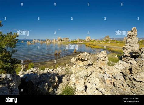 Mono Lake California Usa Stock Photo Alamy
