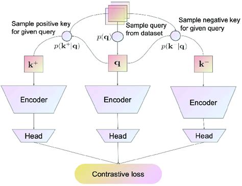 Overview Of The Contrastive Representation Learning Framework Its Download Scientific Diagram