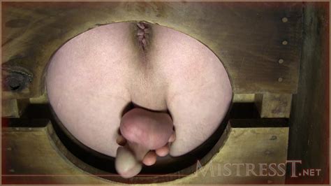 Mistress T Gay Servitude Mind Fucking