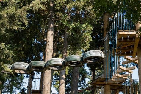Premium Photo | Adventure track in the forest