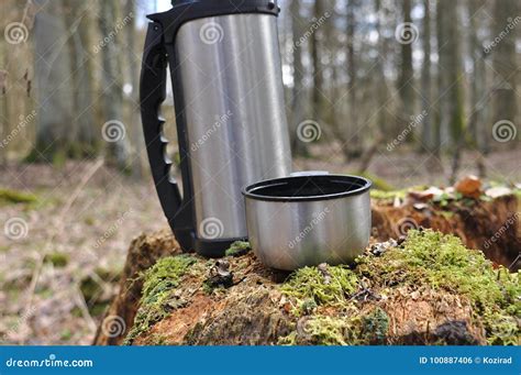 Hot Tea In Thermos For A Walk In The Woods Stock Photo Image Of Dispenser Maintain