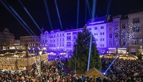 Fotogalerie V Olomouci Z Strom Bambul N V No N M Ste Ko P Il Kalo