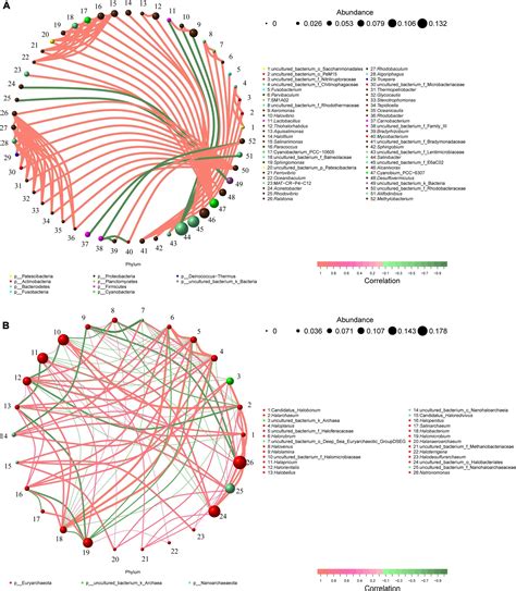 Frontiers Microbial Community Structure And Shift Pattern Of Industry