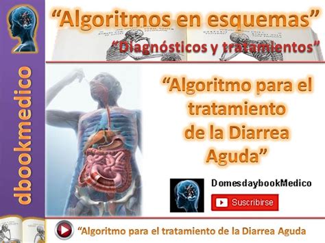 Algoritmo De Tratamiento De La Diarrea Aguda Youtube 31200 The Best