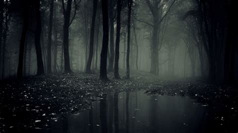 Creepy Fog Wallpapers - Top Free Creepy Fog Backgrounds - WallpaperAccess