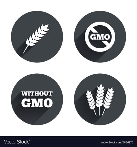 Agricultural Icons Gmo Free Symbols Royalty Free Vector