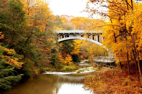 Bridge Over River Free Stock Photo - Public Domain Pictures