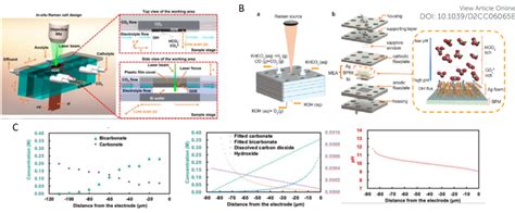 (A): Microfluidic flow cell designed for local pH measurements.... | Download Scientific Diagram