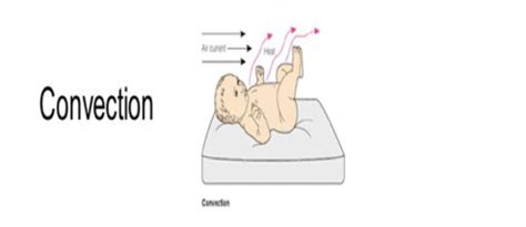 Physiologic Response Of Newborn To Birth OB Flashcards Quizlet