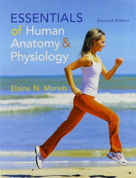 Essentials Of Human Anatomy And Physiology And Modified