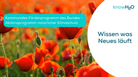 Kommunales Förderprogramm des Bundes Aktionsprogramm Natürlicher