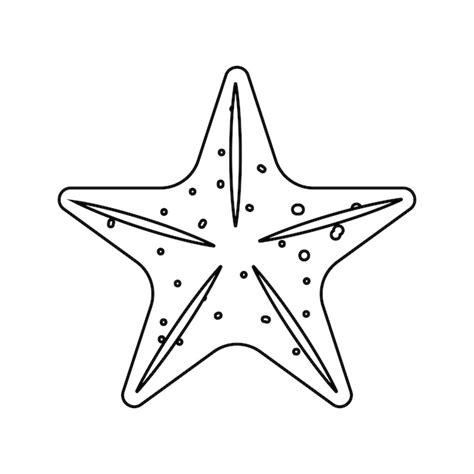 Icono De Estrella De Mar Vector Premium