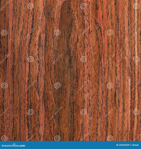 Árvore Do Wenge Da Textura Grão De Madeira Imagem de Stock Imagem de