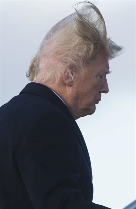 Donald Trumps Bad Hair Days Nt News