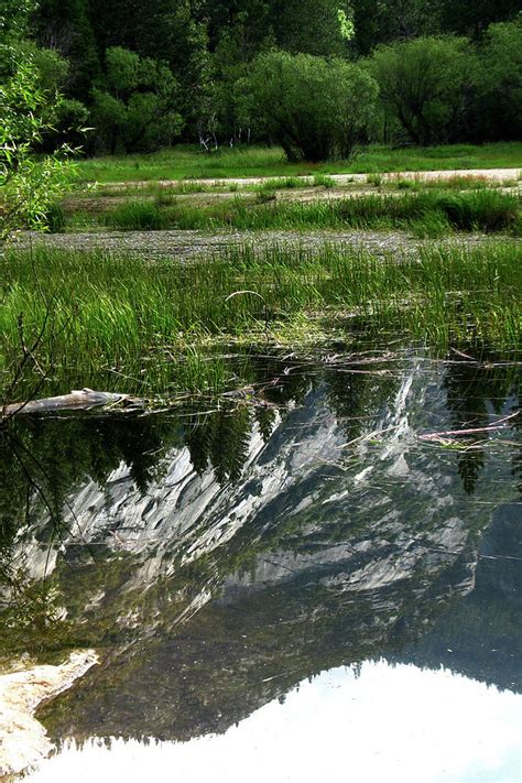 Reflected Ridge Photograph By Pauline Darrow Fine Art America