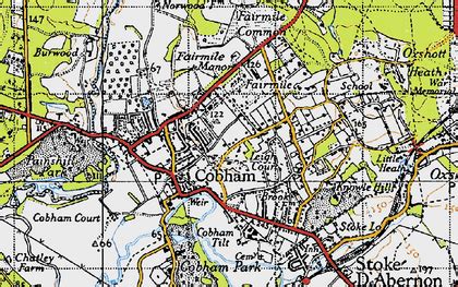 Waitrose Cobham Map