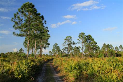 Best Hiking Trails In Florida Rv Lifestyle News Tips Tricks And