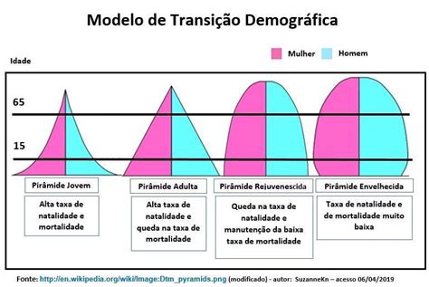 A Transi O Demogr Fica Passa De Um Momento Inicial Pelo Baixo