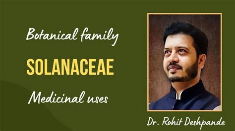 Solanaceae An Overview Of Its Health Benefits And Uses By Dr Rohit