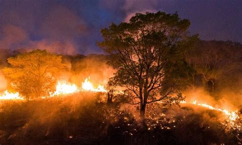 Queimadas No Pantanal Já Superam Em 16 Dias Todos Os Setembros Mês