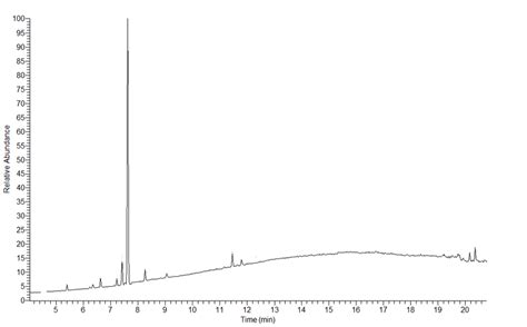 Chromatograms Gc Ms Of H Gymnocephalum Essential Oil 1 α Thujene 2 Download Scientific