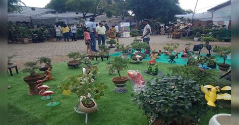 Plant Exhibition Organized In Shilpgram Of Jawahar Kala Kendra Here Is