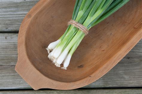 Evergreen Bunching Onion 200 Seeds Hirts Gardens