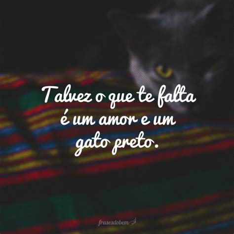 60 Frases Sobre Gatos Para Aquecer E Encher O Seu Coração De Amor