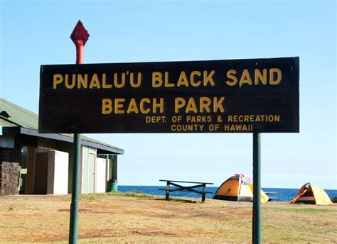 Punaluʻu Black Sand Beach | Amusing Planet