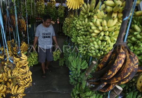 Permintaan Pisang Saat Bulan Ramadhan Antara Foto