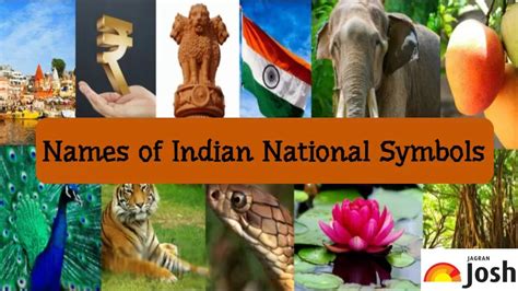 Independence Day 2023: 17 Indian National Symbols To Know On The Day