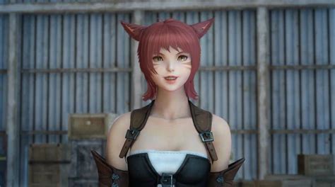 Miqo Te Guide The Ffxiv Feline Race Final Fantasy Insider