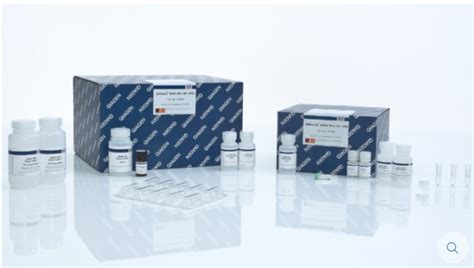 Qiaquick Pcr Purification Kit Pcr