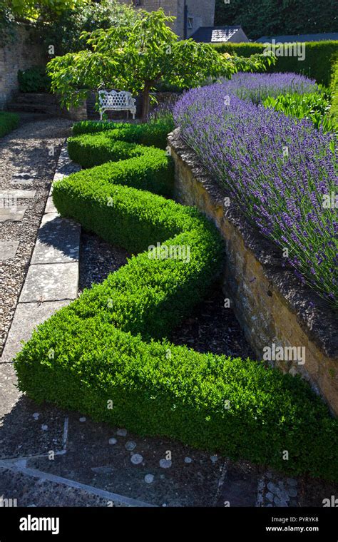 Garden Box And Lavender Hi Res Stock Photography And Images Alamy