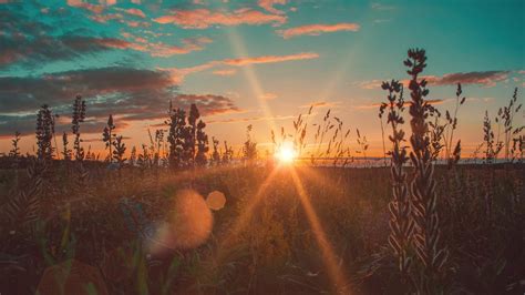 What Is Golden Hour And How To Photograph It One 55 Off