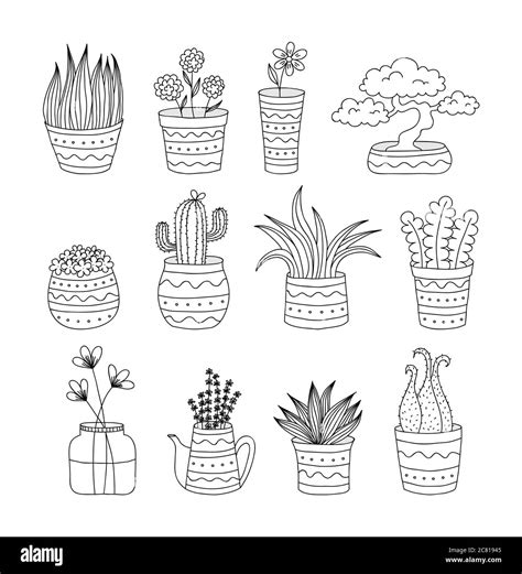 Colección de 12 doodle macetas con varias plantas apto para colorear