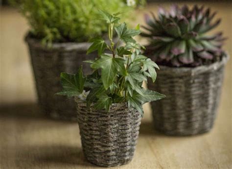 Object Of Desire Basket Weave Concrete Plant Pots Gardenista Web