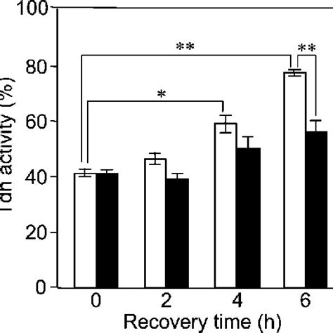 Effect Of Cycloheximide On Recovery Of Tdh Activity After H 2 O 2