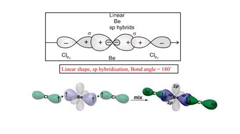 Hybridization | PPT