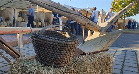 A Sinalunga Torna La Fiera Alla Pieve Associazione Nazionale Citt