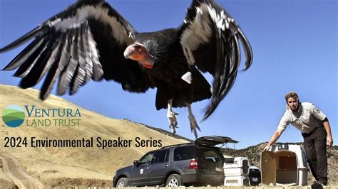 Environmental Speaker Series 2024 Condor Conservation Youtube