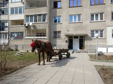 Каруца в елитния квартал Стрелбище | мРепортер