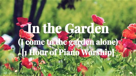 1 Hour Hymn In The Garden I Come To The Garden Alone With Lyrics Piano Instrumental